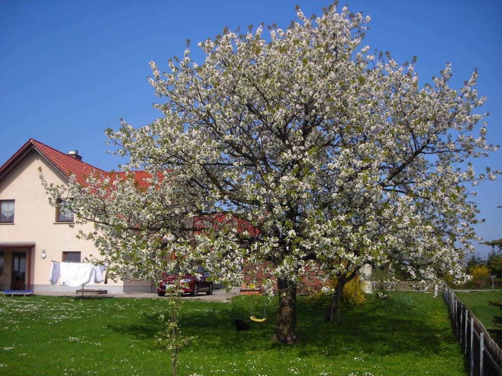 Ferienwohnung Gisela Kaestner Stolpen Quarto foto